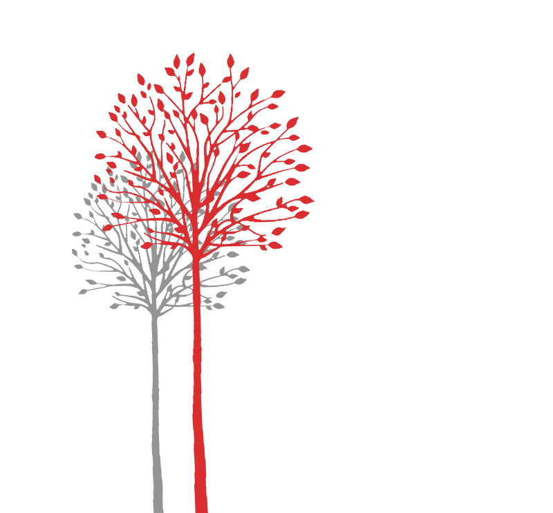 dorie-simmonds-01